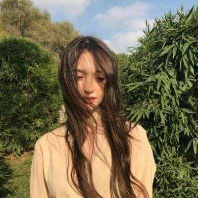 进击的帝国内购破解版下载